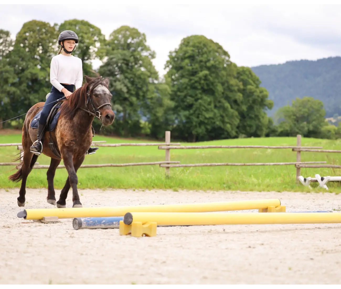 Reiten lernen in der Natur