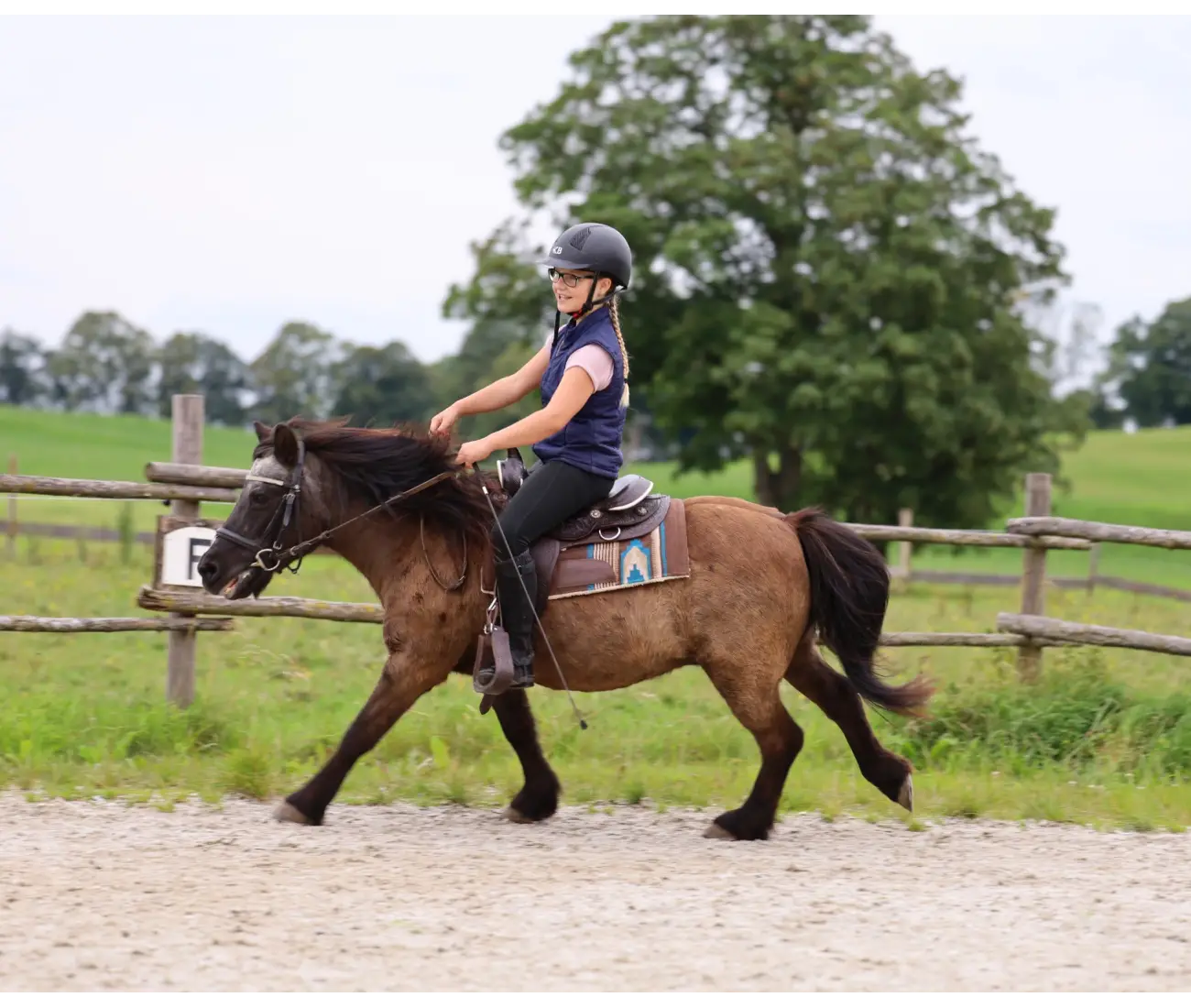 Geduldiges Pony-Training mit Begleitung